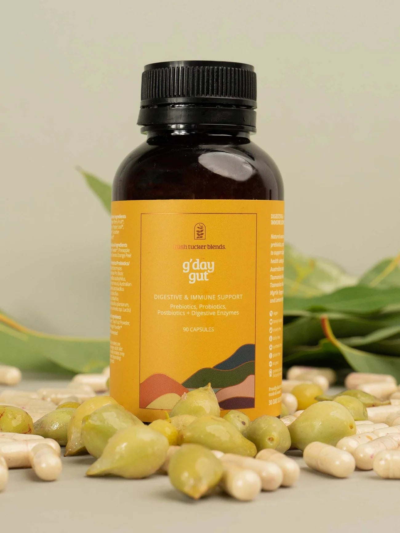 Gday Gut | Bush Tucker Blends | Digestive & Immune Support | 90 Capsules