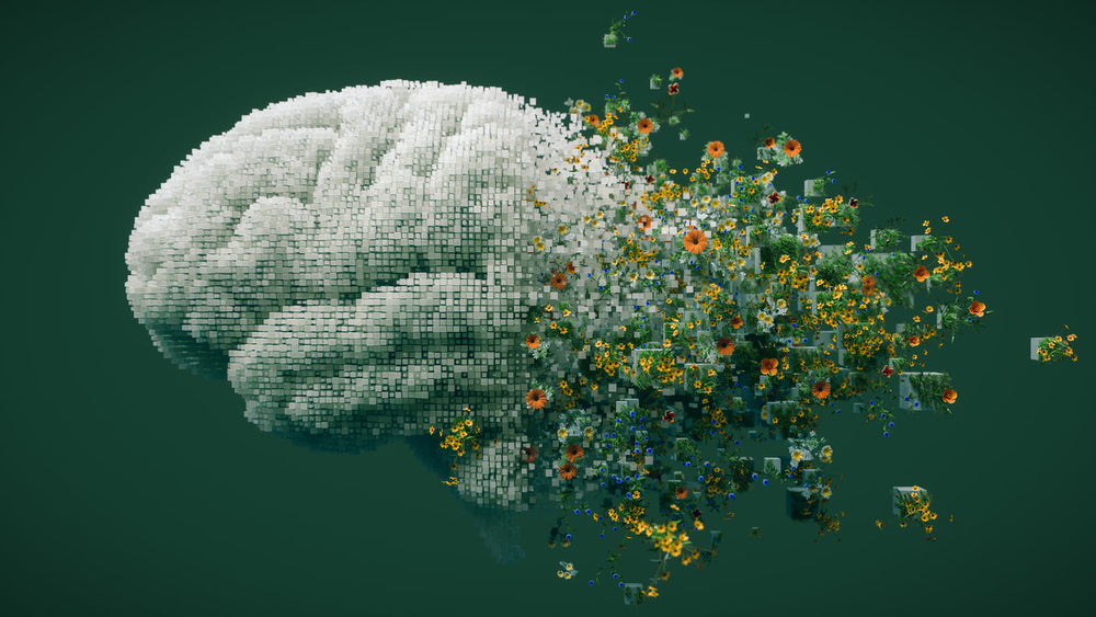 The Top 20 Nutrients, Herbs, and Adaptogens for Brain Health: A Scientific Overview