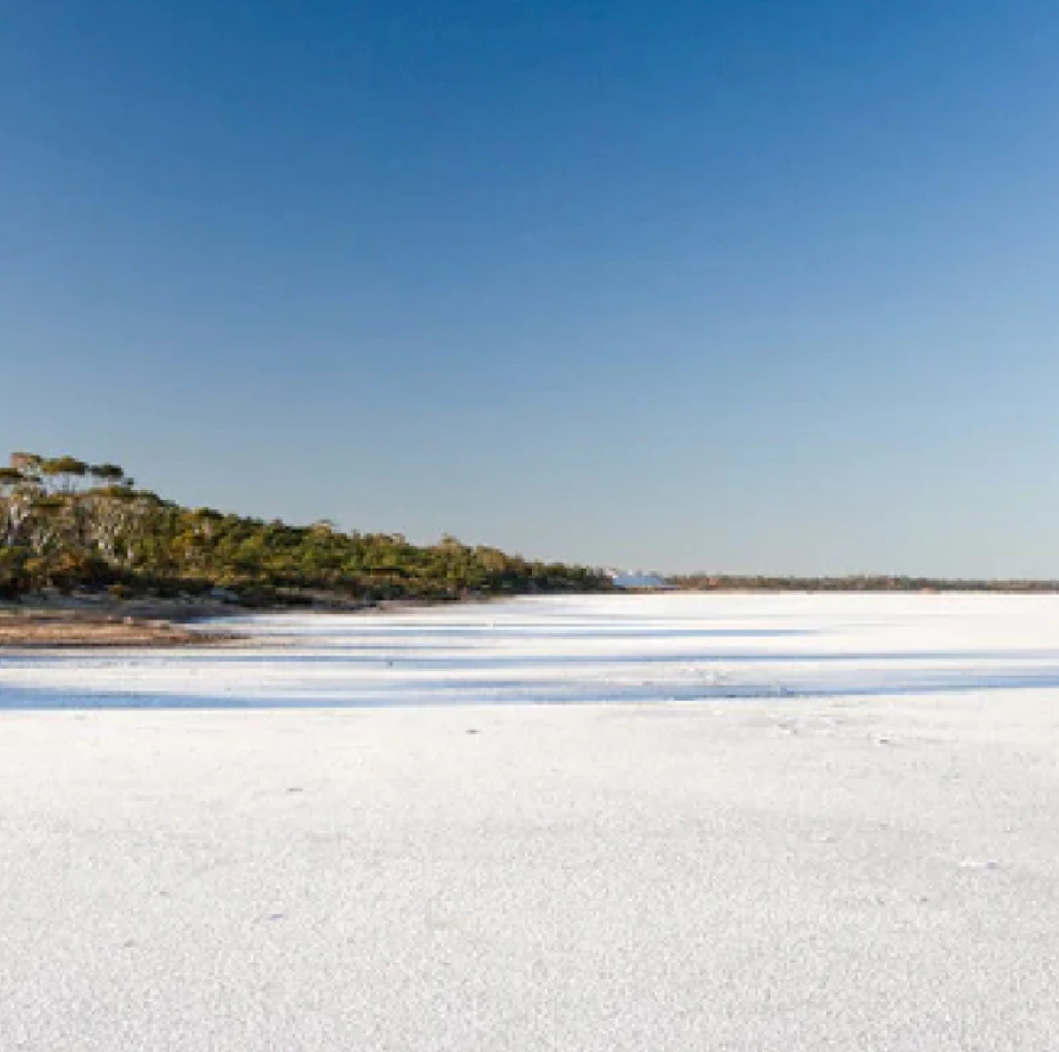 sodii and Ancient Lakes Collaboration