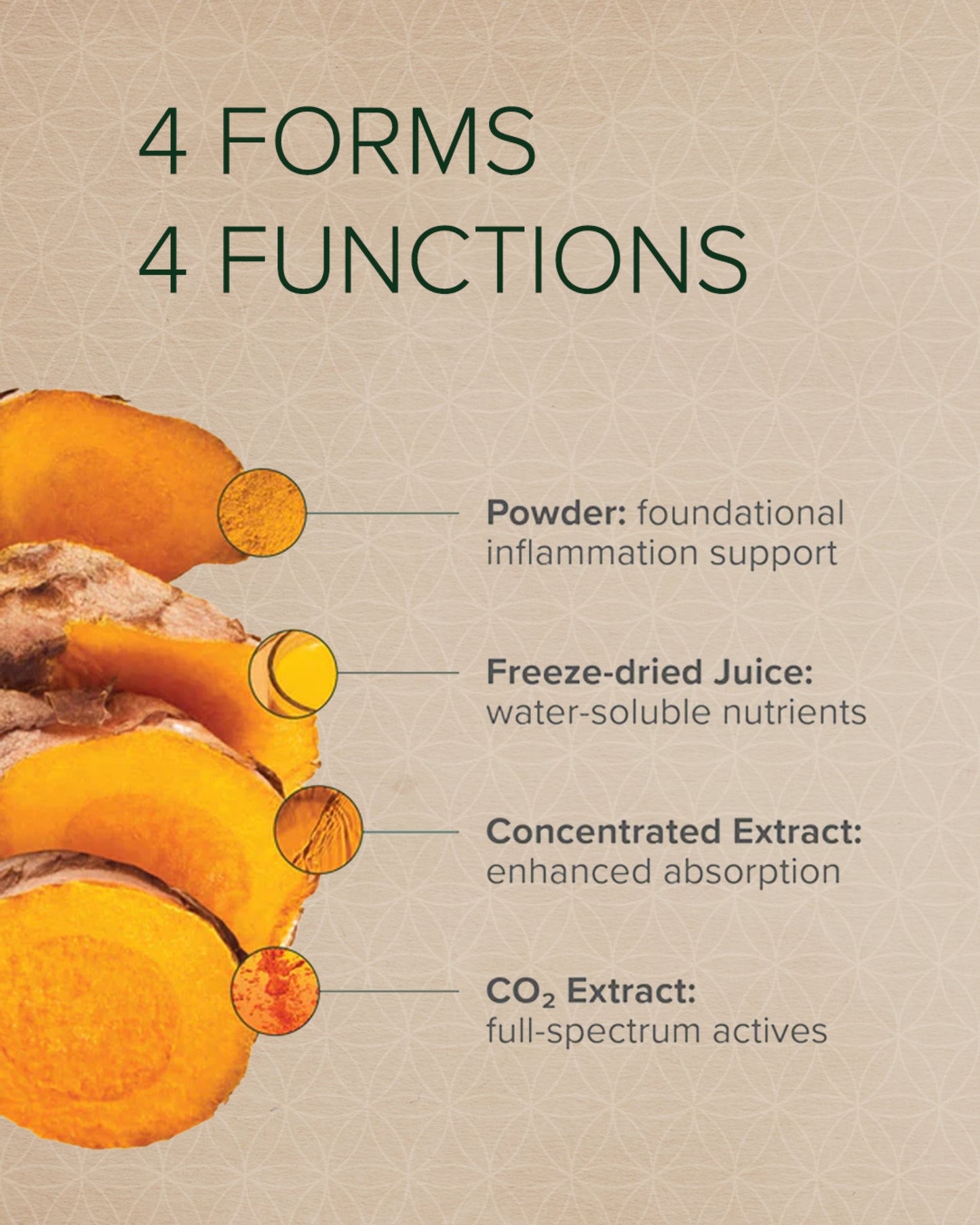 
                  
                    Turmeric | Raw Herbal Extract Liquid | Global Healing | 59.2ml
                  
                
