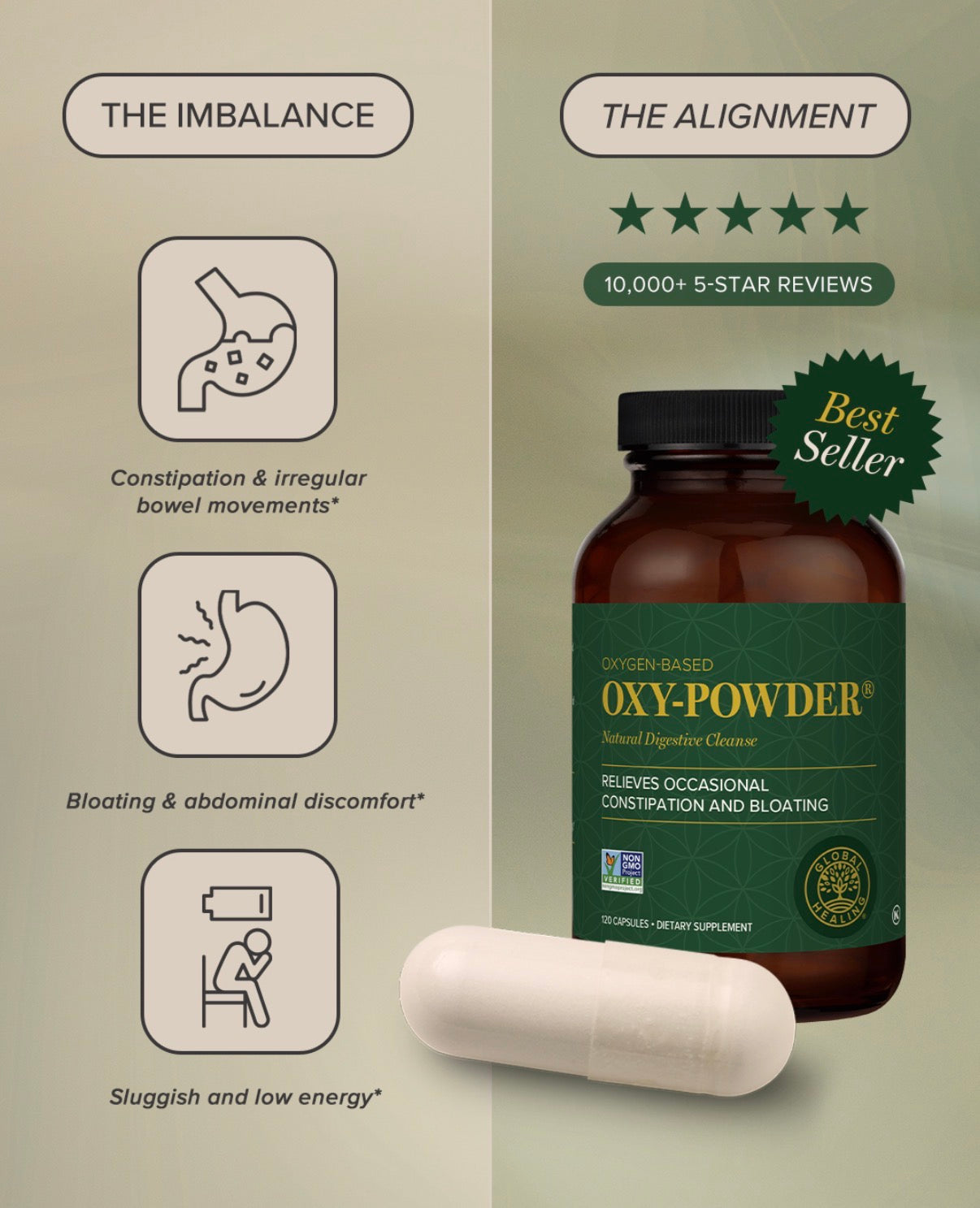 
                  
                    Oxy-Powder | Global Healing | Natural Digestive Cleanse | 60 Capsules
                  
                