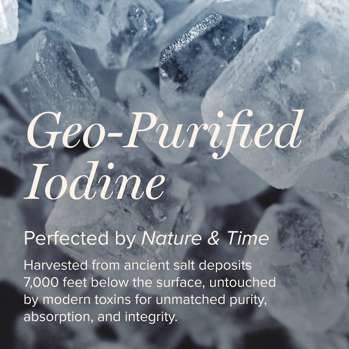 
                  
                    Detoxadine | Global Healing | Nascent Iodine | 29.6ml
                  
                
