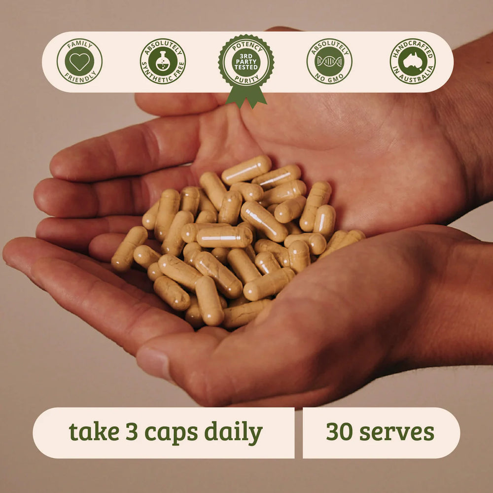 
                  
                    Gday Gut | Bush Tucker Blends | Digestive & Immune Support | 90 Capsules
                  
                