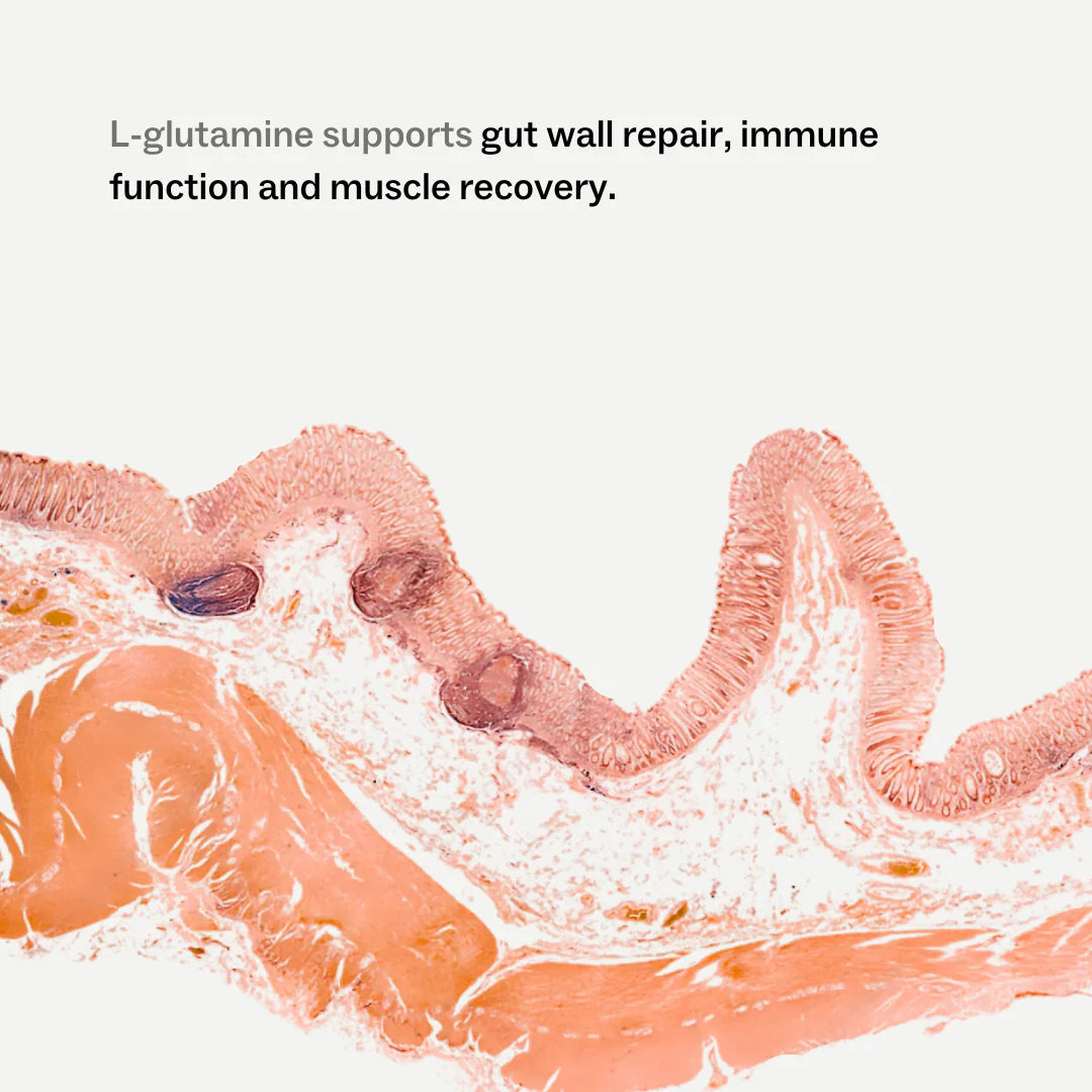 
                  
                    Clean Glutamine | My Way Up | 300g
                  
                