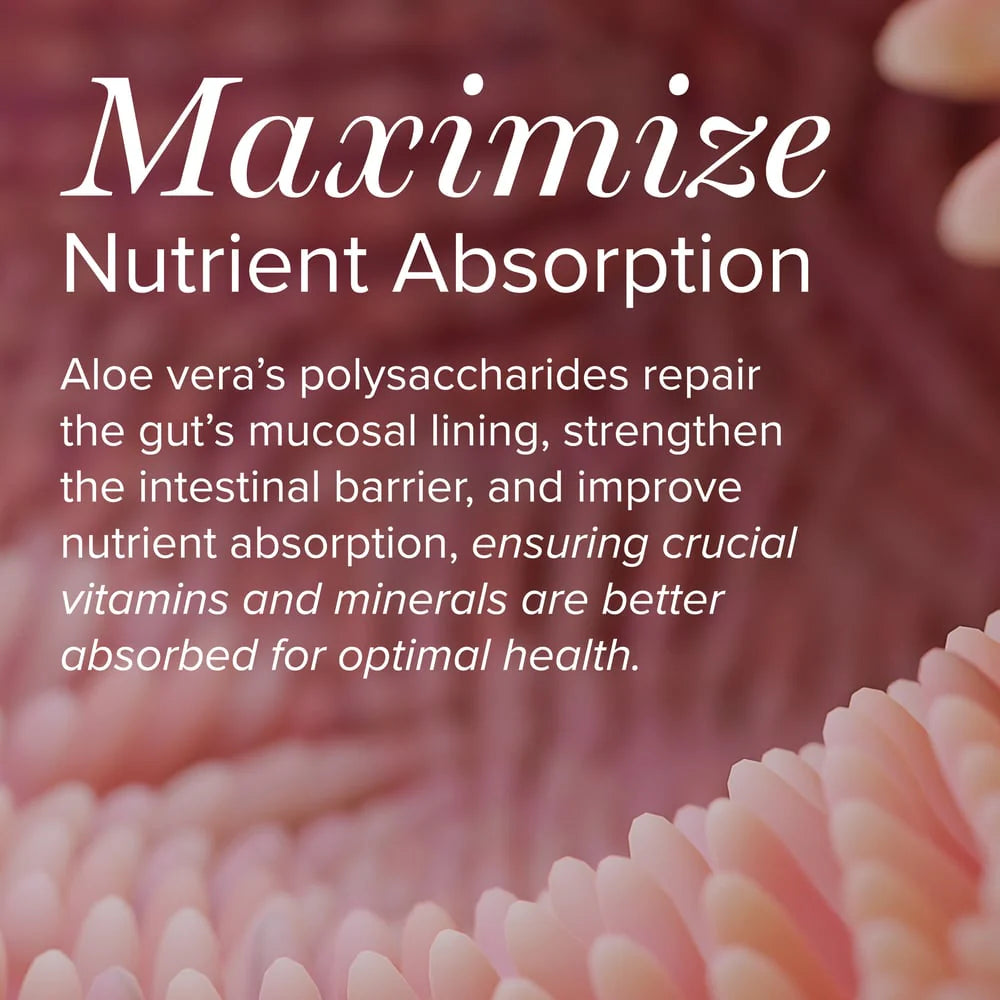 
                  
                    Aloe Vera Capsules | Global Healing | New Label | 60 Capsules
                  
                