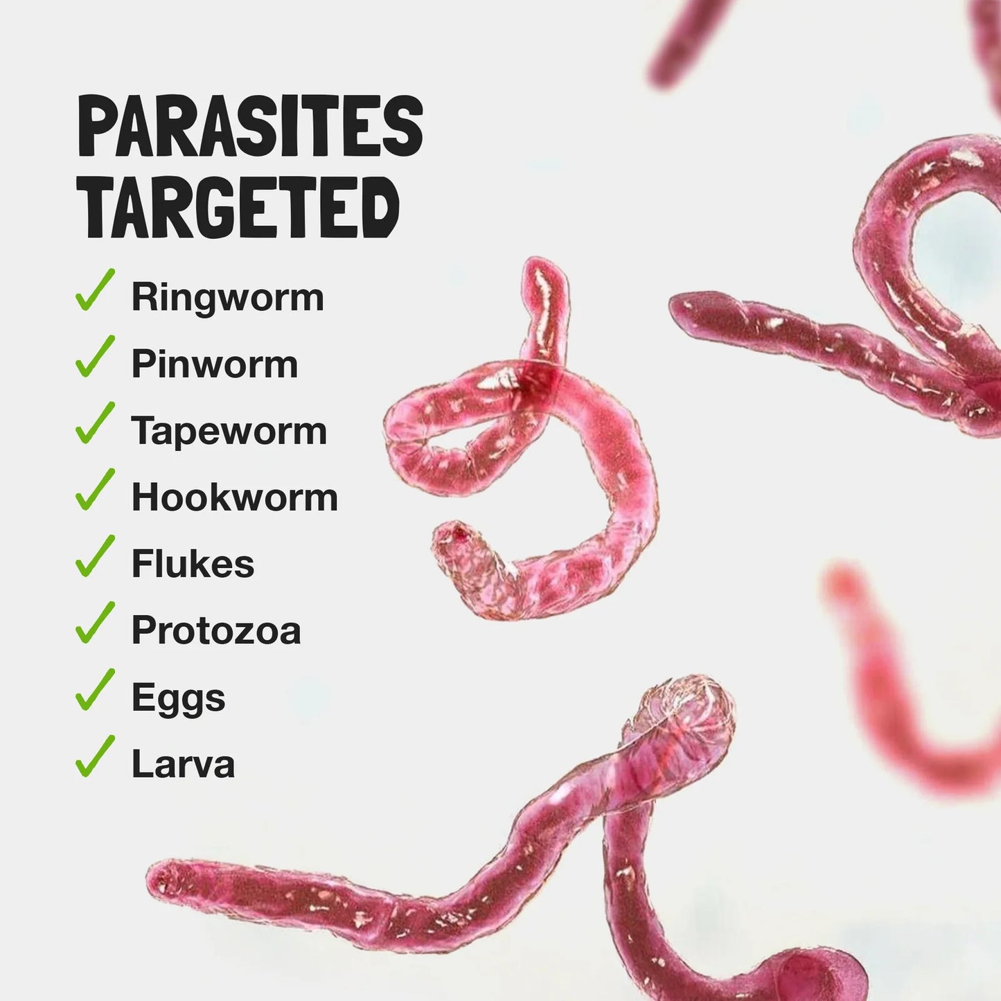 
                  
                    Children's Parasite Formula | Food Over Drugs | 30ml
                  
                