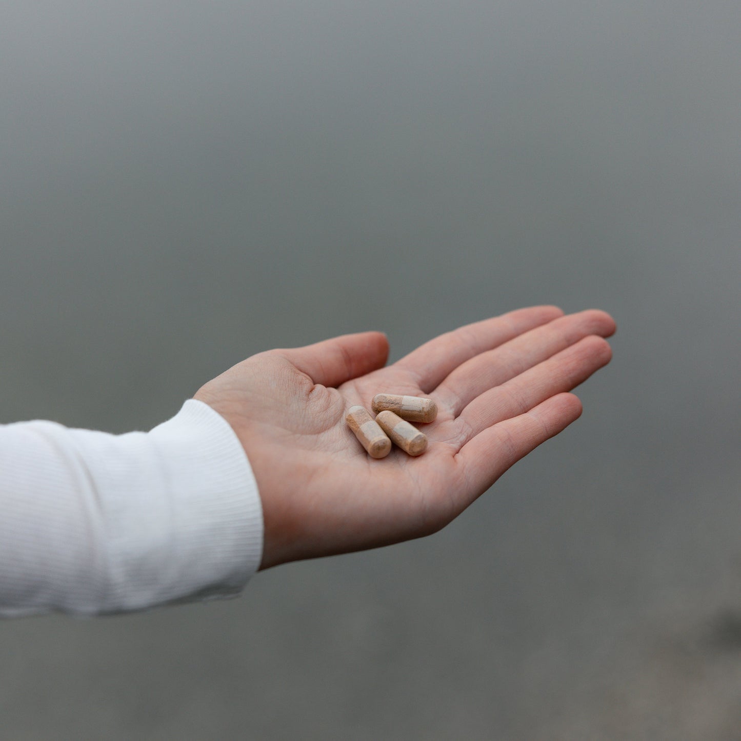 
                  
                    Two Iconic Iron vege capsules held in an open hand, the daily serve
                  
                
