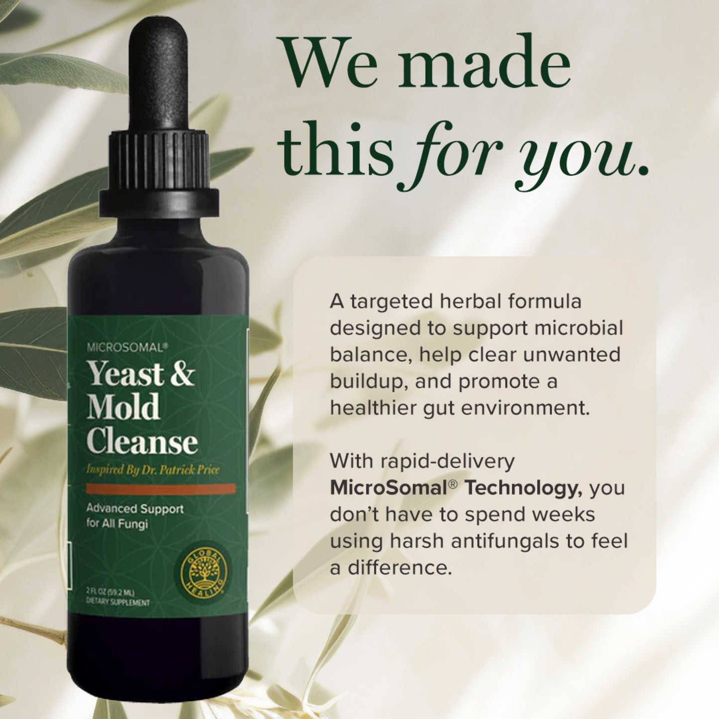 
                  
                    global healing australia yeast mould
                  
                